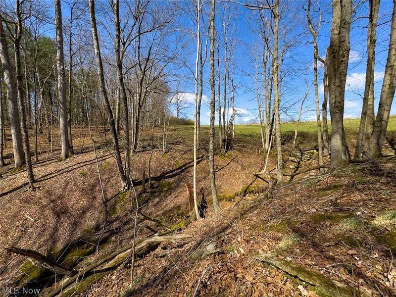 6880 Shaver Road , Blue Rock, OH 43720 Photo 21