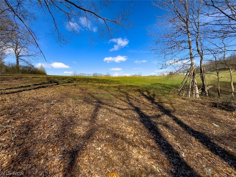 6880 Shaver Road , Blue Rock, OH 43720 Photo 22