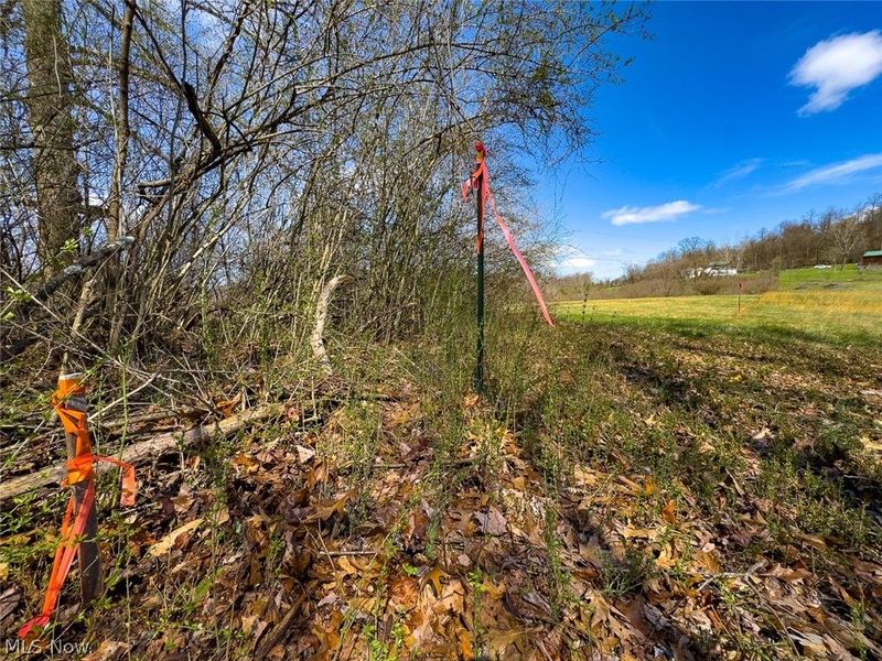 6880 Shaver Road , Blue Rock, OH 43720 Photo 25