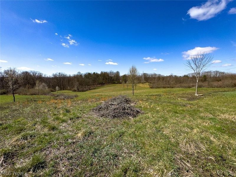 6880 Shaver Road , Blue Rock, OH 43720 Photo 9