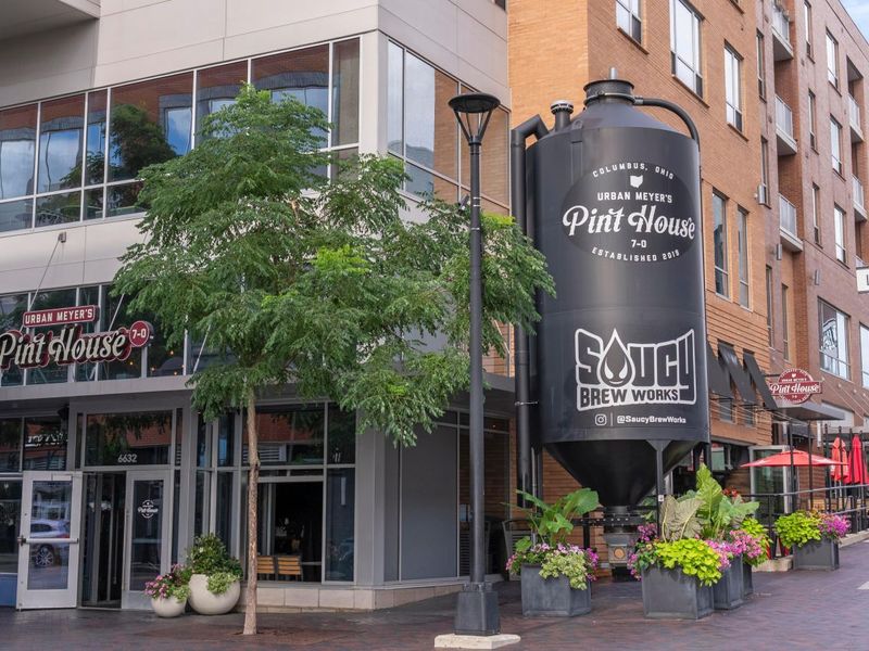 113 Longview Drive, Dublin, OH 43017 Photo 64