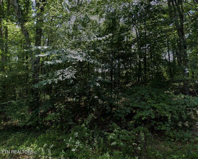 7014 Ute Lane, Crossville, TN 38572 Main Photo