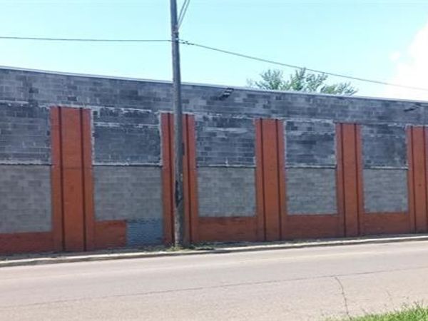 10333 Fenkell Street , Detroit, MI 48238