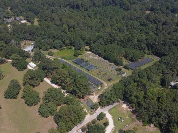 12497 JOSEPHS Road , Folsom, LA 70437