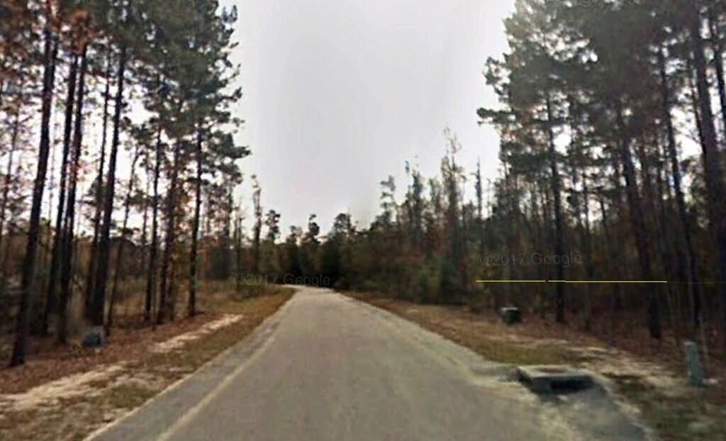 205 Mt. Hope Drive Photo 4