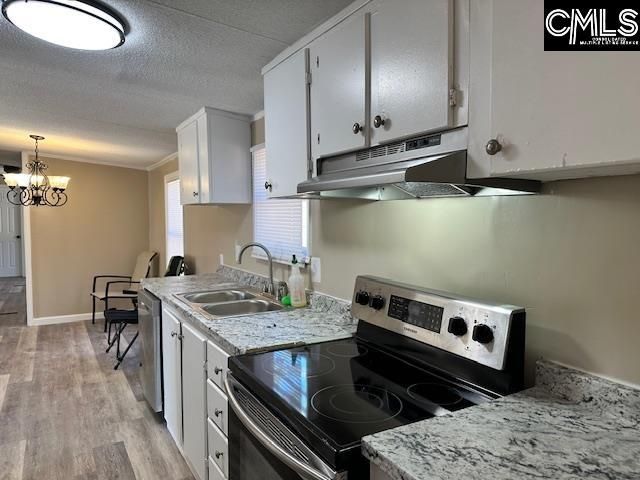 131 Mimosa Drive  Photo 11