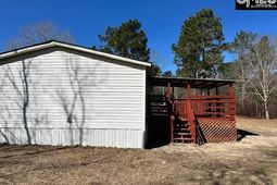 131 Mimosa Drive  photo 4