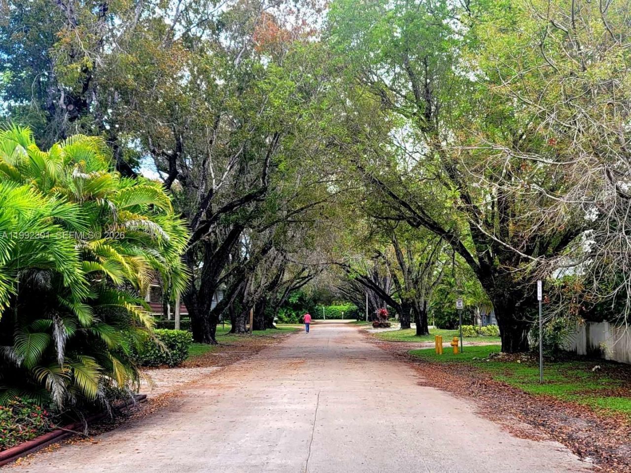 1205 Mariposa Ave, Unit 206, Coral Gables, FL 33146 Photo