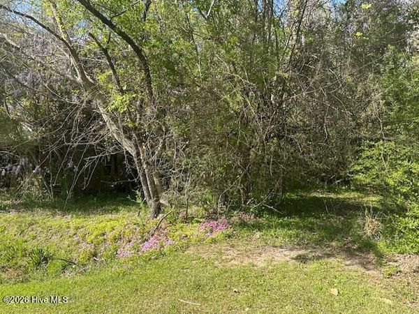 408 Mill Quarters Road, Hallsboro, NC 28442