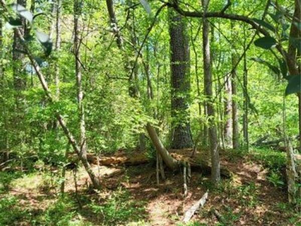 0 GROVE PARK NW, Atlanta, GA 30318