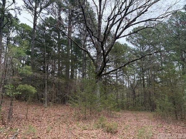 40 Acres FS RD 1436, Clarksville, AR 72830