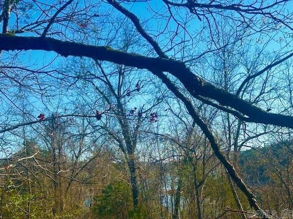 0 CR 8060 , Yellville, AR 72687