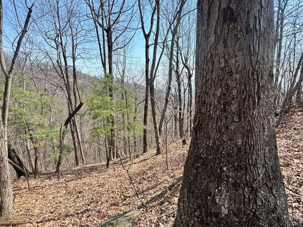 0000 Pinnacle Parkway , Union Mills, NC 28167