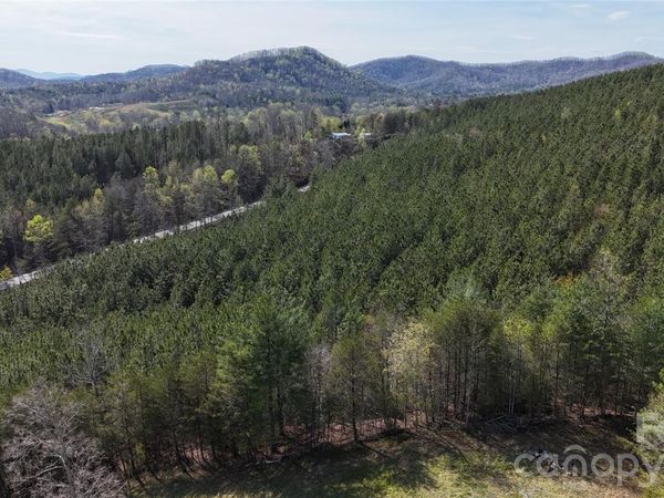 00 NC Highway 226 Highway, Bostic, NC 28018