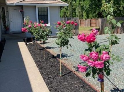 67 Saint Andrews Rd, Valley Springs, CA 95252 Photo