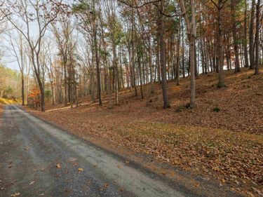 TBD PLUM TREE DRAFT RD, CHURCHVILLE, VA 24421