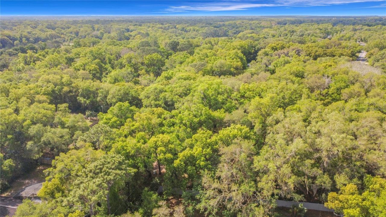 31427 Ghent Avenue, Mount Plymouth, FL 32776 Photo