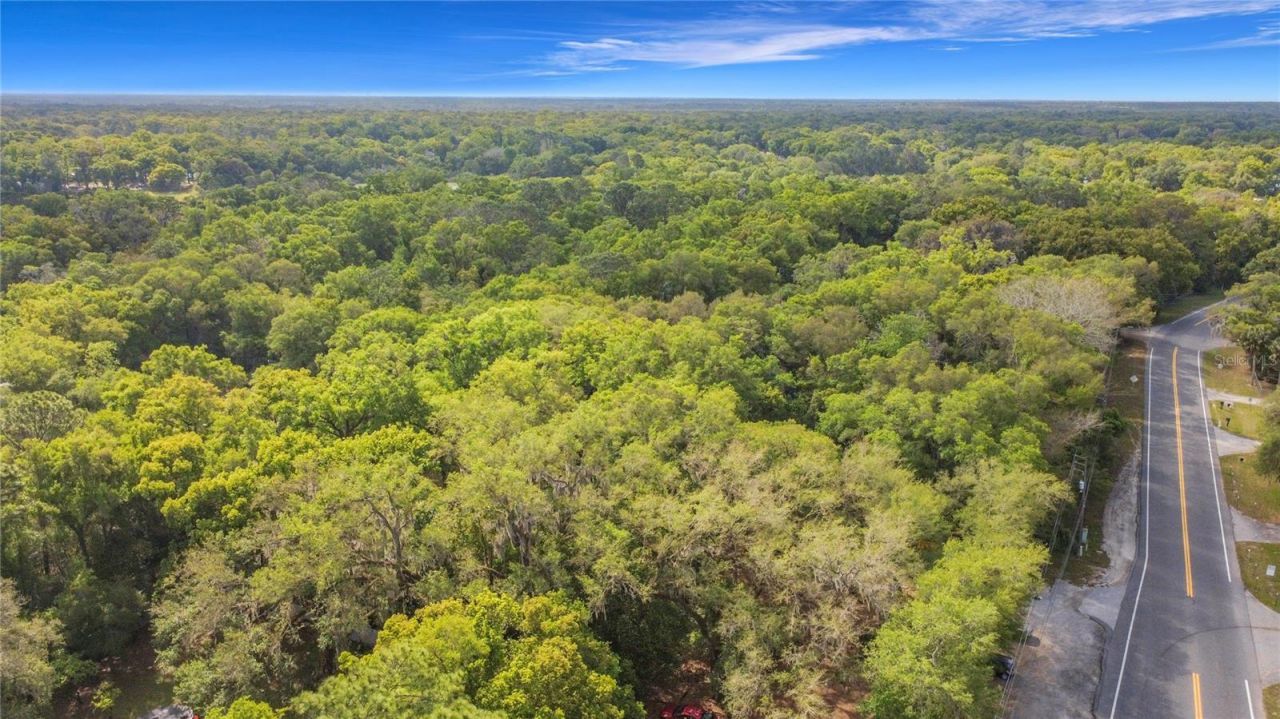 31427 Ghent Avenue, Mount Plymouth, FL 32776 Photo