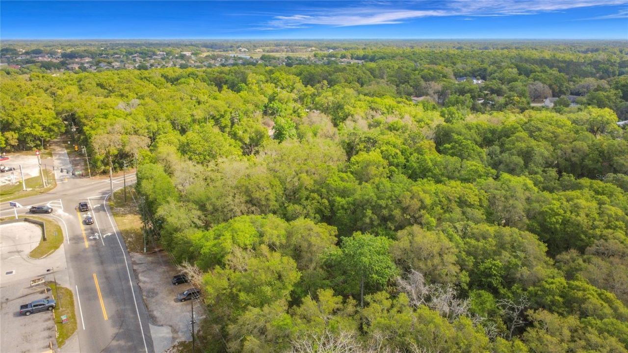 31427 Ghent Avenue, Mount Plymouth, FL 32776 Photo