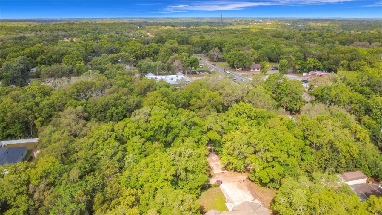 31427 Ghent Avenue, Mount Plymouth, FL 32776 Photo