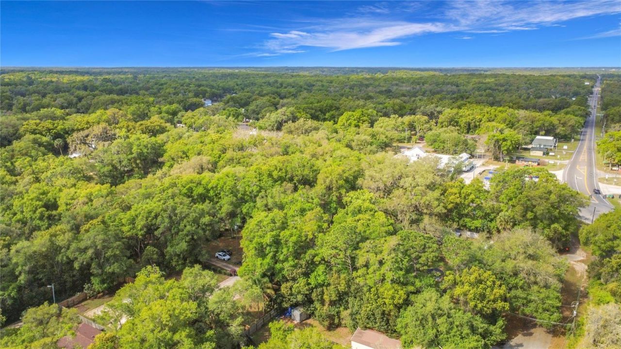 31427 Ghent Avenue, Mount Plymouth, FL 32776 Photo