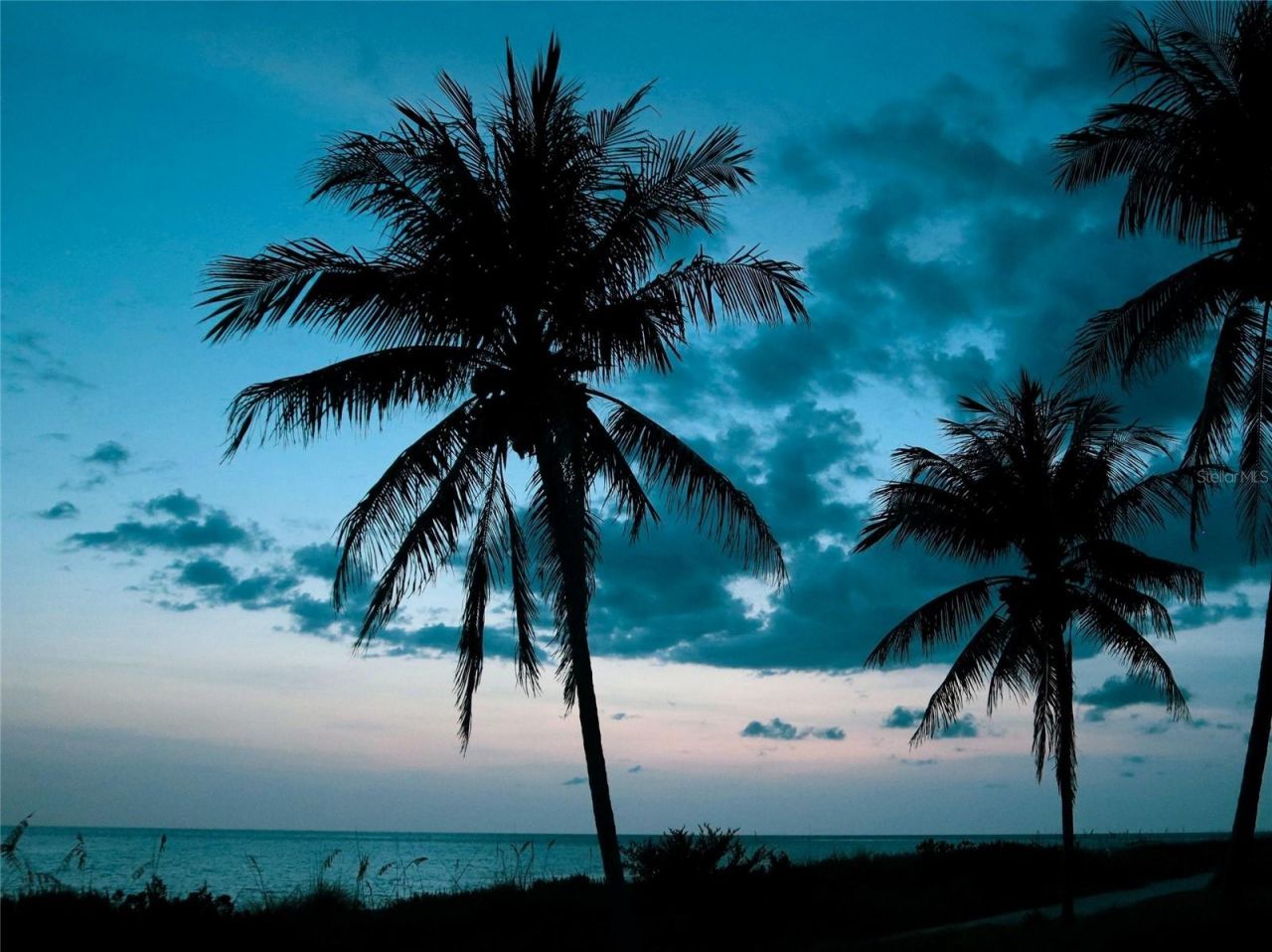 3424 Old Oak Drive, Sarasota, FL 34239 Photo