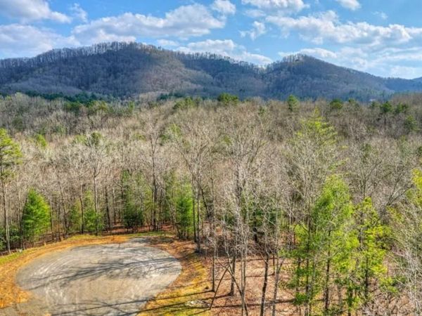 LT 13 Rocky Ridge, Mineral Bluff, GA 30559