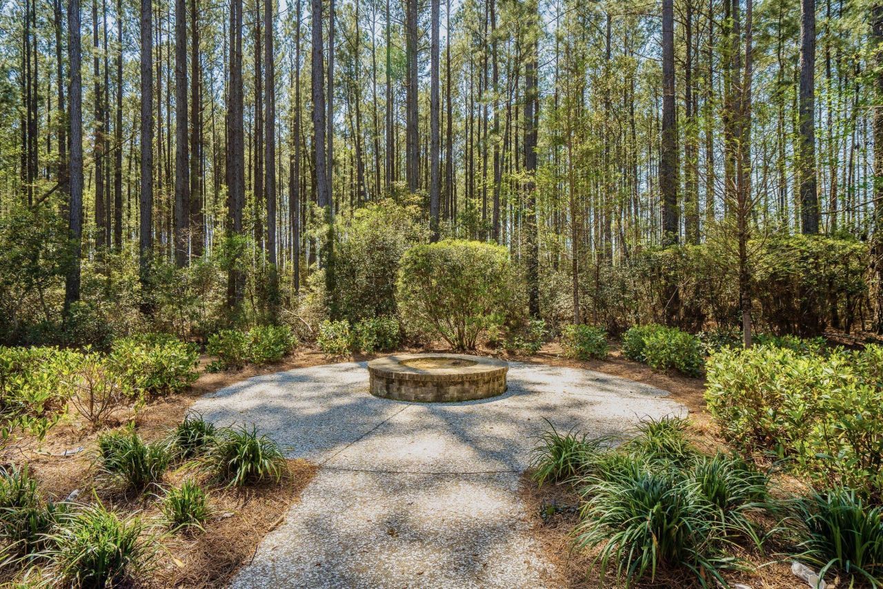 407 Rowley Lane Photo 47