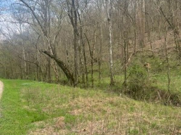 0 Club Springs Rd , Elmwood, TN 38560