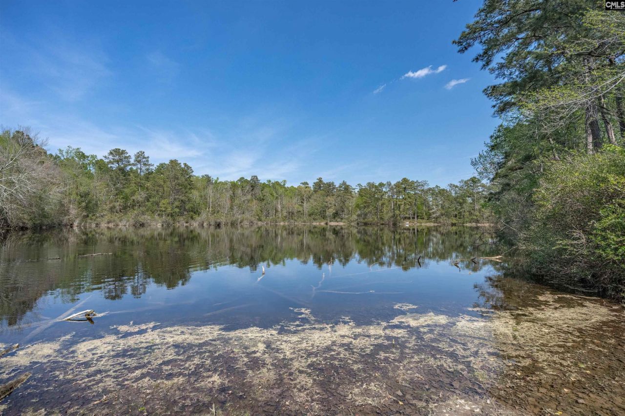 414 Dupre Mill Road  Photo 4