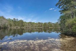 414 Dupre Mill Road  photo 4