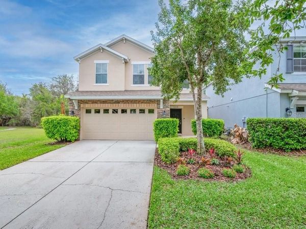 5204 BANNISTER PARK LANE, LITHIA, FL 33547