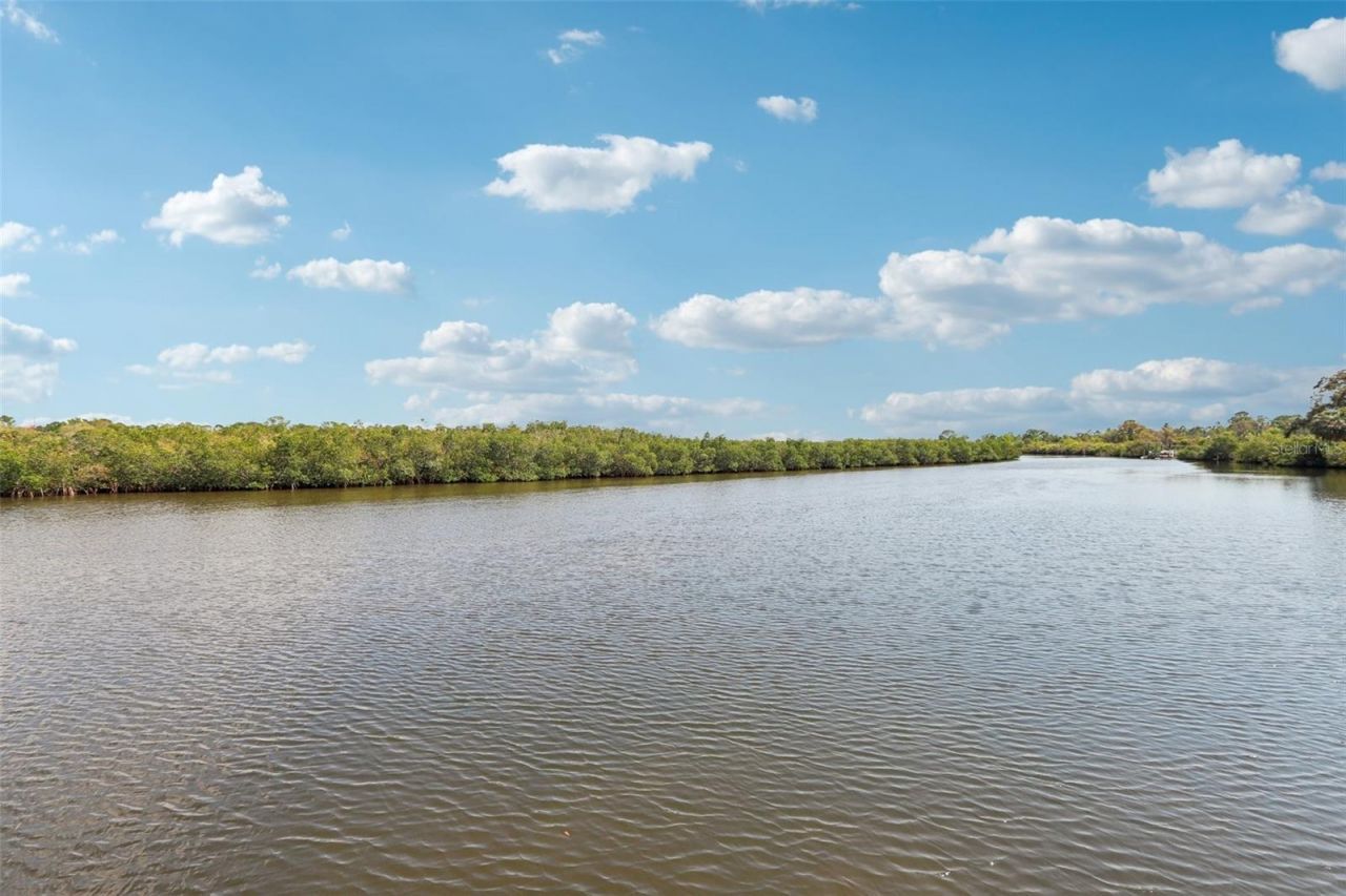 8107 Sierra Manor Lane, Tampa, FL 33635 Photo