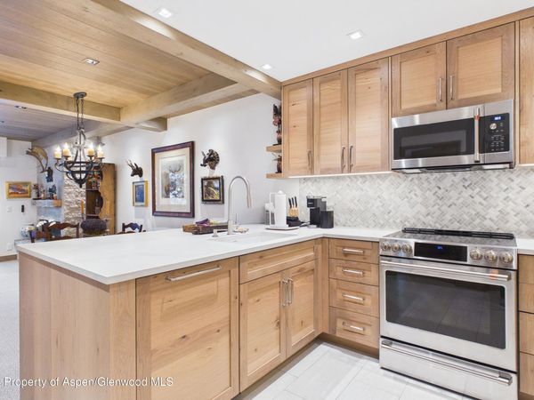 610 S West End Street, Unit G201, Aspen, CO 81611
