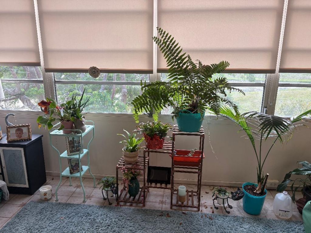 7300 Lake Cir Drive, Unit 404, Margate, FL 33063 Photo