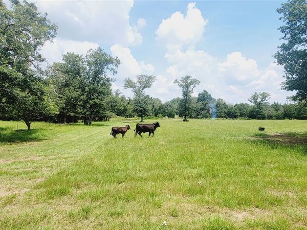 3321 County Road 457, Thorndale, TX 76577