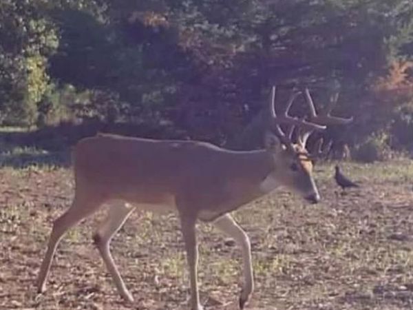 23444 Okay Road, Tecumseh, OK 74873