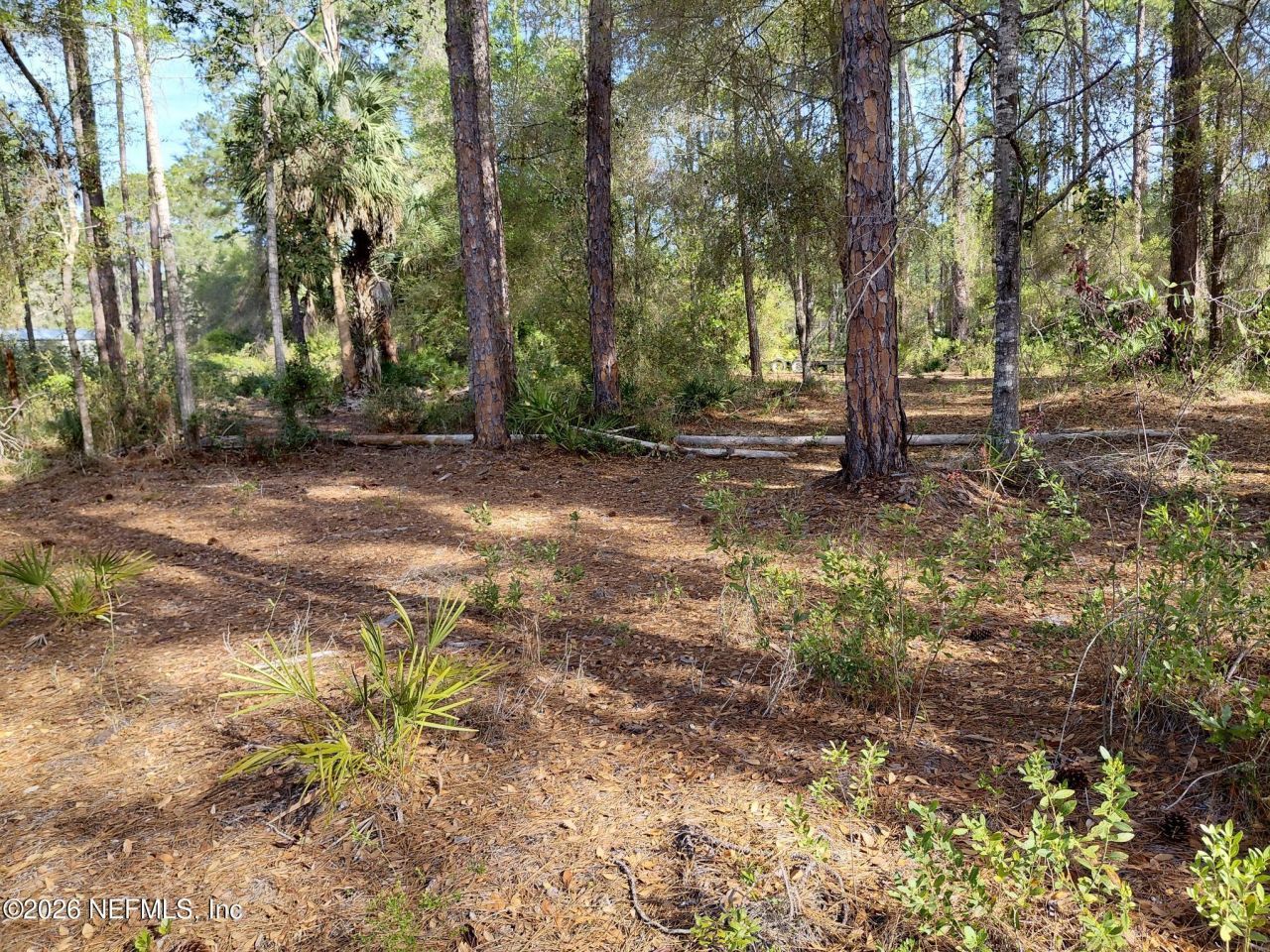 426 Carteret Road, Georgetown, FL 32139 Photo