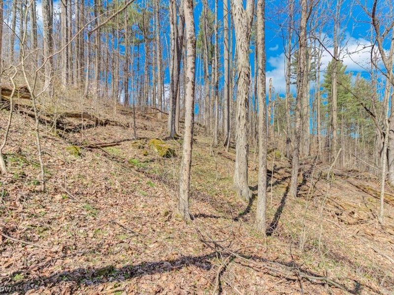 8087 2nd Drive SW, Bowerston, OH 44695 Photo 10