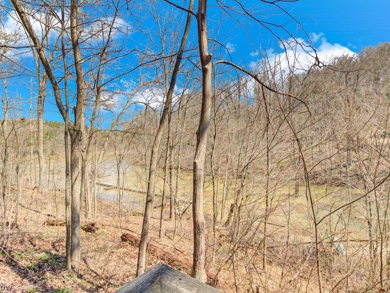 8087 2nd Drive SW, Bowerston, OH 44695 Photo 8