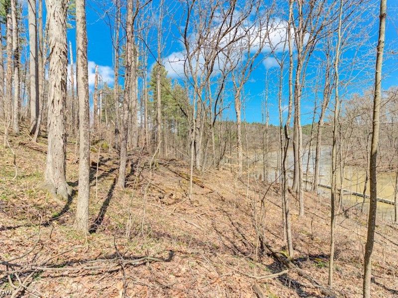 8087 2nd Drive SW, Bowerston, OH 44695 Photo 9