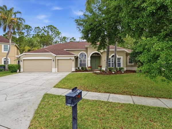 18931 CHAVILLE ROAD , LUTZ, FL 33558