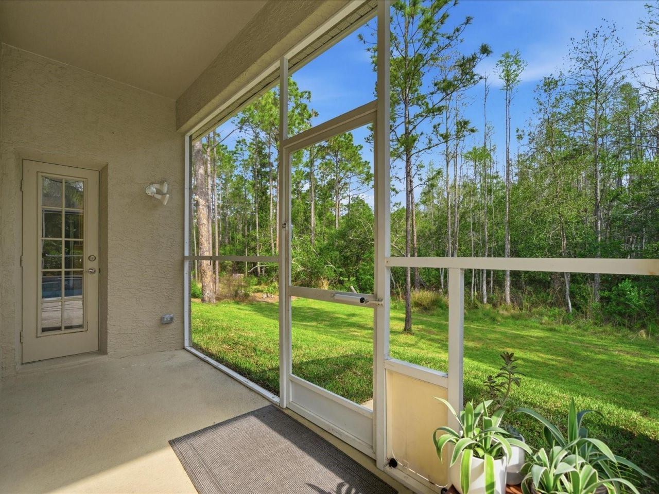 18931 Chaville Road, Lutz, FL 33558 Photo