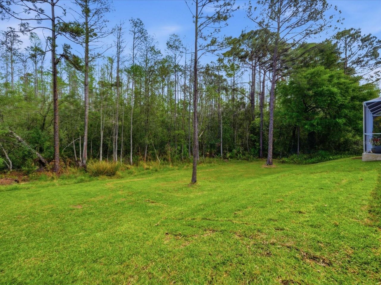 18931 Chaville Road, Lutz, FL 33558 Photo