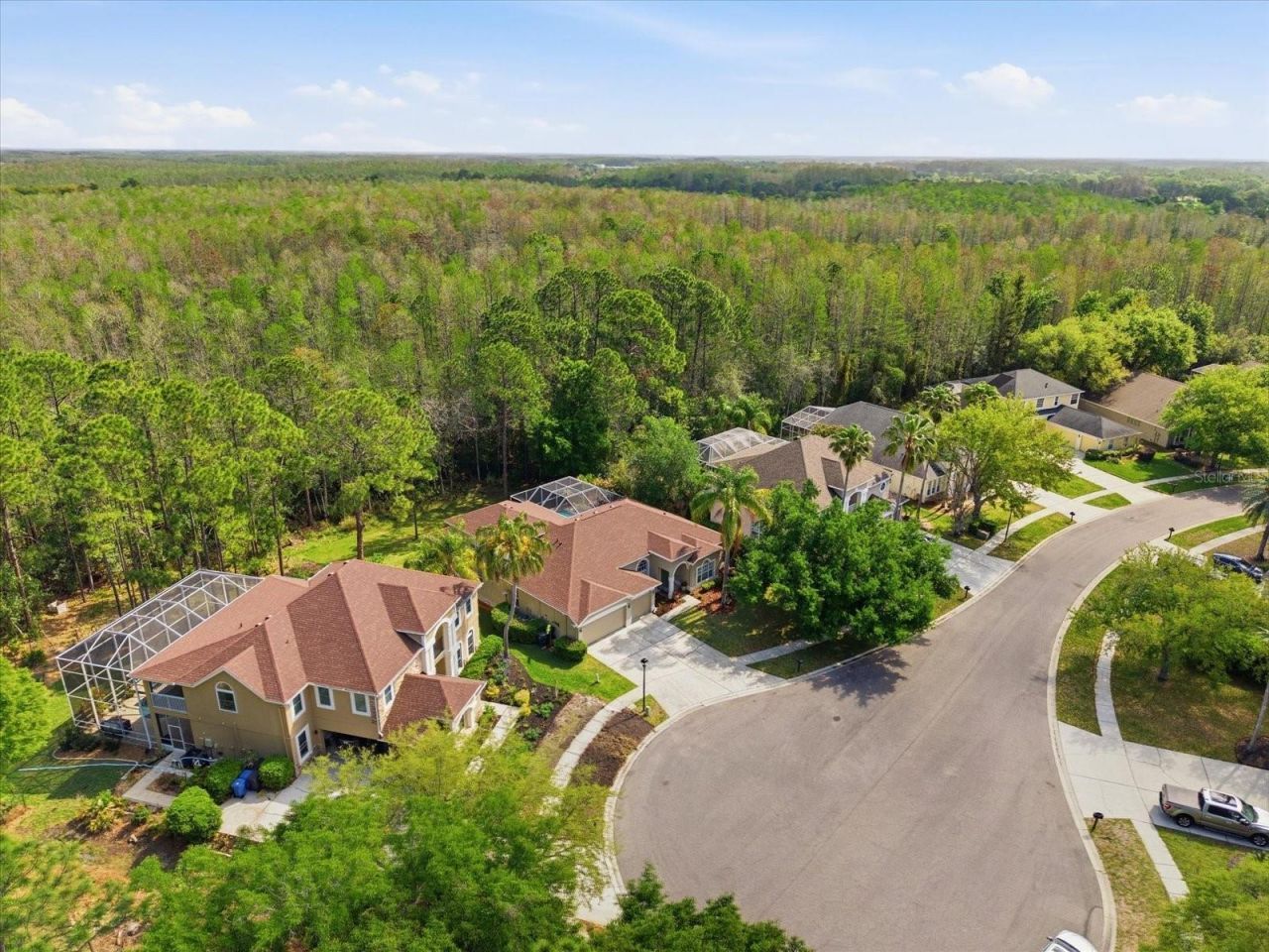 18931 Chaville Road, Lutz, FL 33558 Photo