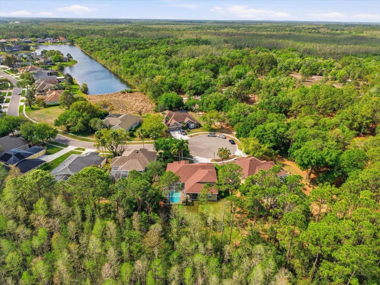 18931 Chaville Road, Lutz, FL 33558 Photo