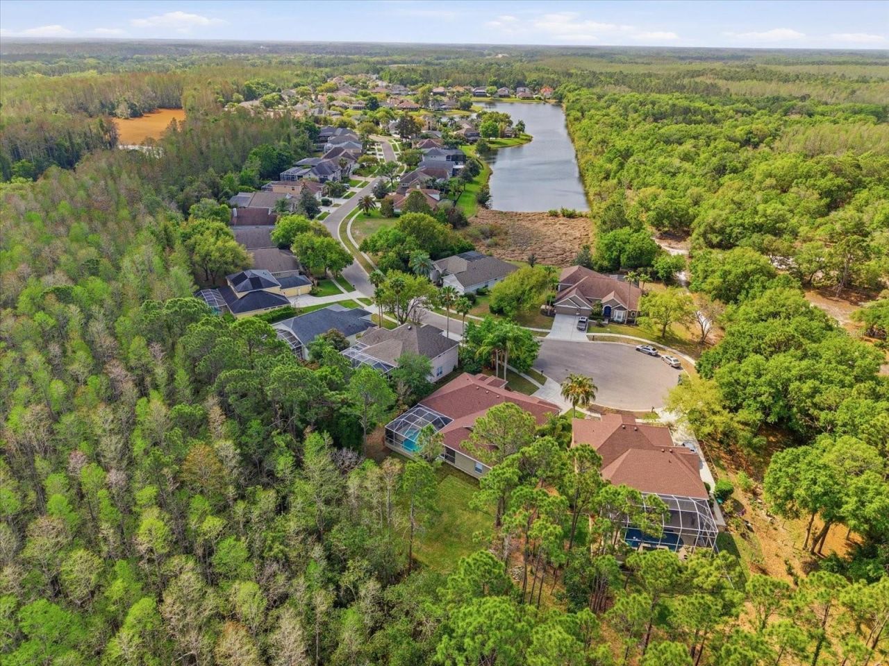 18931 Chaville Road, Lutz, FL 33558 Photo