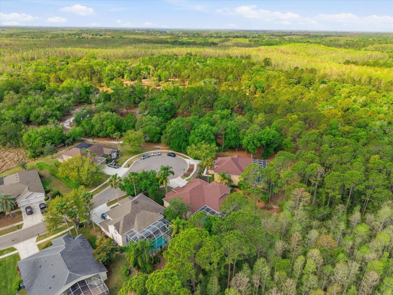 18931 Chaville Road, Lutz, FL 33558 Photo