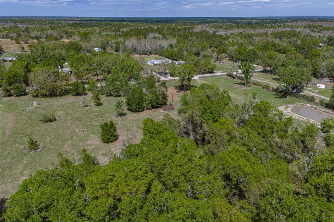 0 Clayton Road, Kathleen, FL 33849 Photo