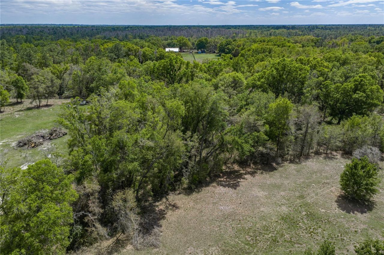 0 Clayton Road , Kathleen, FL 33849 Photo